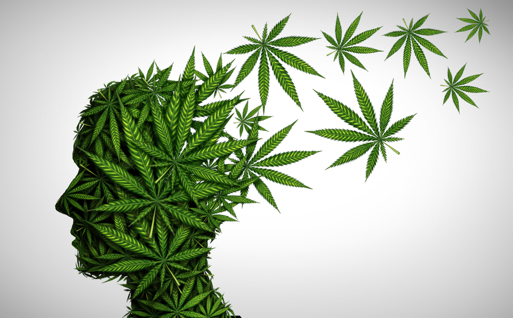 Cannabis Brain Hacks: What Happens When You Mix Cannabinoids and Nootropics