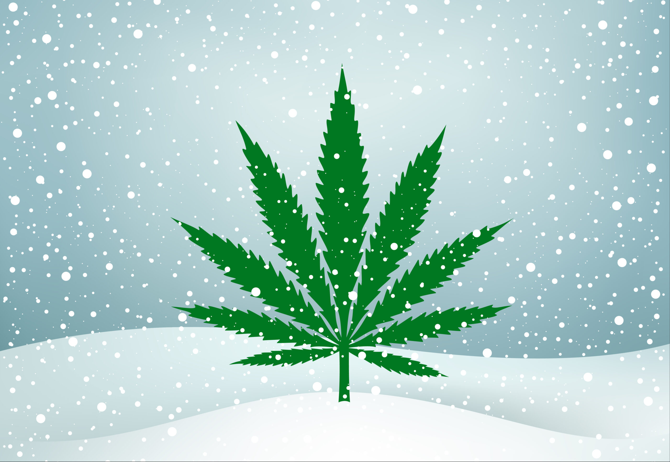 Cozy cannabis picks: Products to try while snuggling up this snowy weekend
