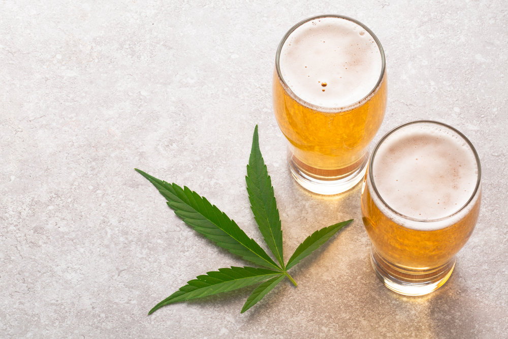 Craft vs. Commercial Cannabis