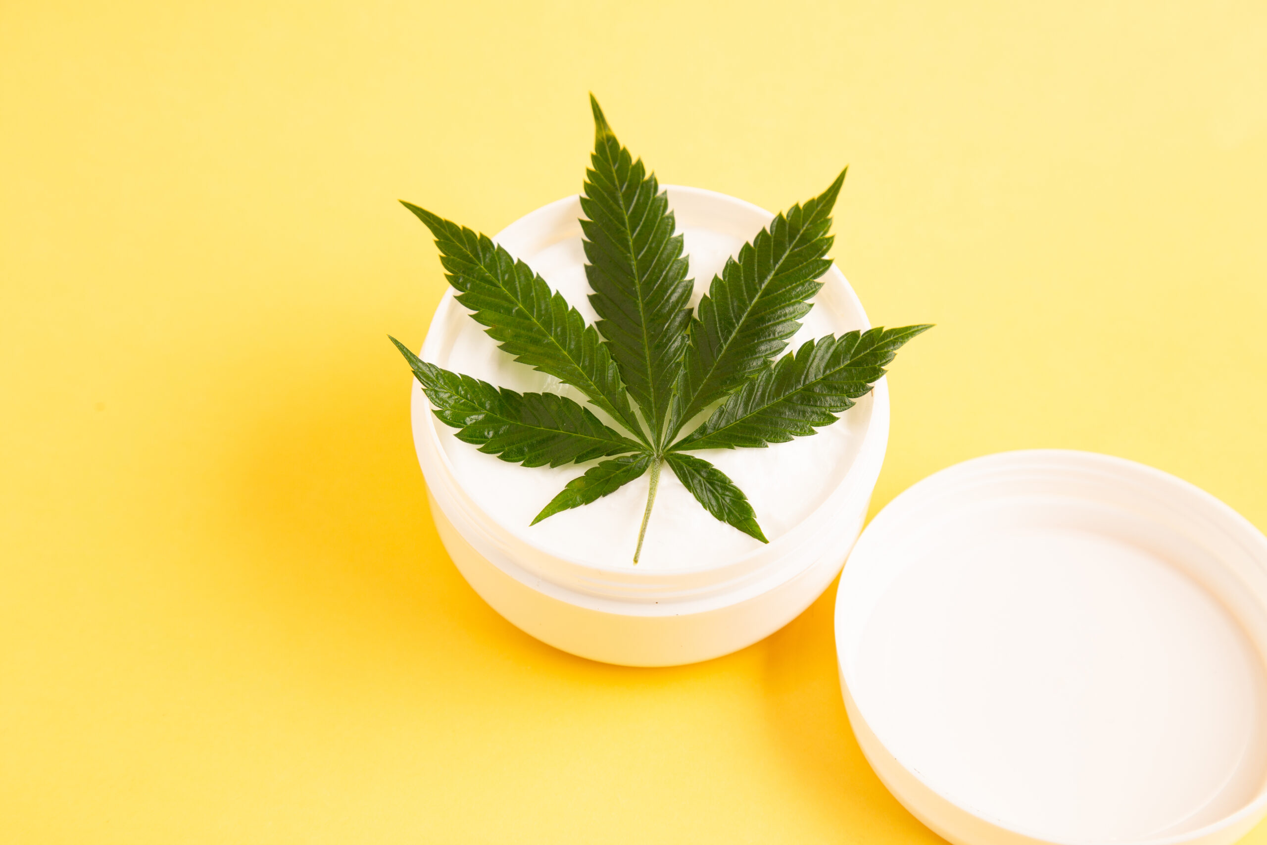 Cannabis Topicals and Skin Care: Everything You Want to Know About Using Cannabis Products on Your Skin